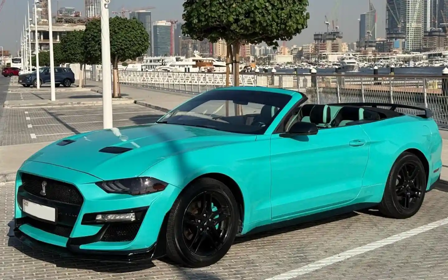 Private Dubai cabrio tour